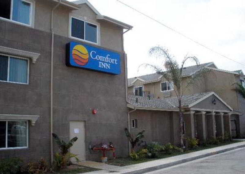 Comfort Inn Cockatoo Near Lax Hawthorne Bagian luar foto